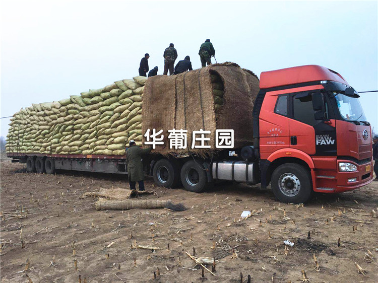 玻璃纖維網(wǎng)格布